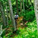 A mountain bikers on the Dirty Dancing Bike Trail