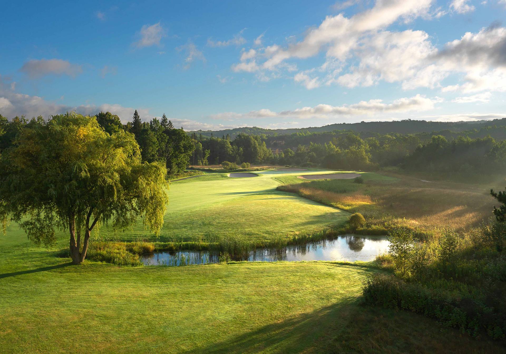 The moor golf course