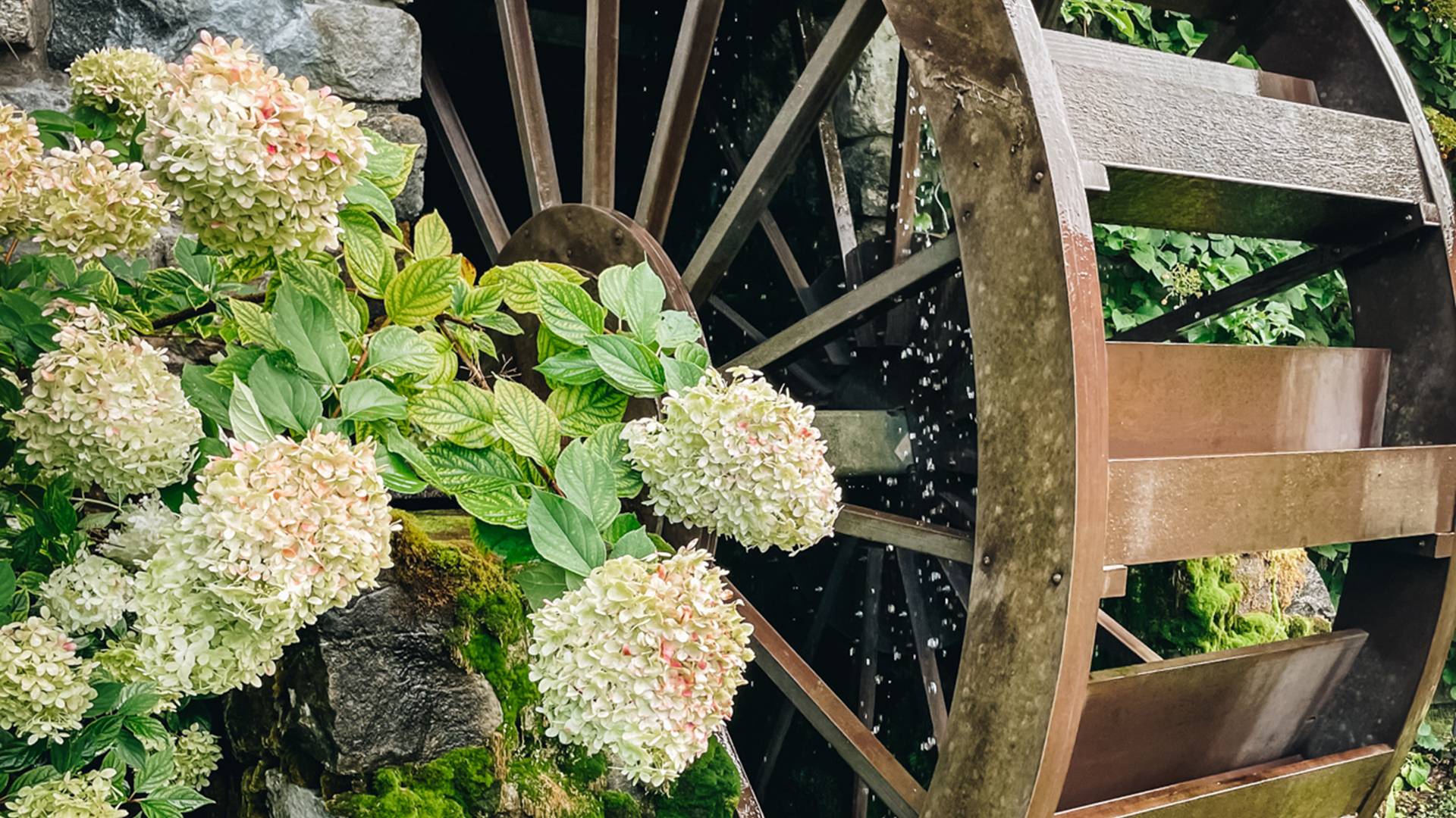 Water wheel at The Highlands